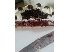 Grotemeyers-konditorei-schwarzwaelder-kirsch-torte
