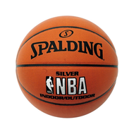 Spalding-nba-silver