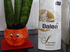 Balea-sternenschweif
