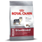 Royal-canin-medium-sterilised