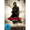 Downstream-endzeit-2013-dvd