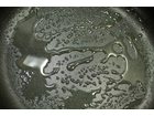 Gastrolux-guss-bratpfanne-7cm
