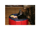 Kitty-lake-von-trixie