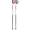 Atomic-alpin-race-10