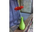 Meine-gerbera