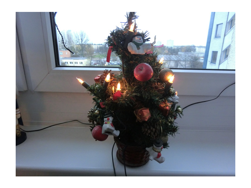 Real Weihnachtsbaum Testbericht und Eigenschaften bei yopi.de