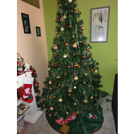 Mein-baum