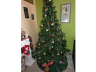Mein-baum