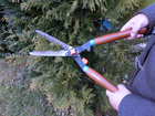 Hecke-wird-verschnitten