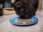 Mhhh-lecker