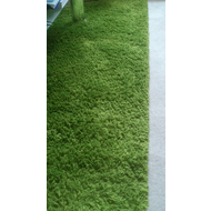 Mein-gruener-teppich-unter-dem-couchtisch