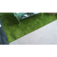 Mein-gruener-teppich-unter-dem-couchtisch