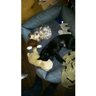 Unsere-beiden-mit-ihren-kuscheltieren