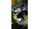 Unsere-beiden-mit-ihren-kuscheltieren