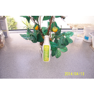 Weleda-citrus-feuchtigkeitslotion