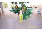 Weleda-citrus-feuchtigkeitslotion