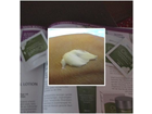 Quackys-4-sovitabeauty-test