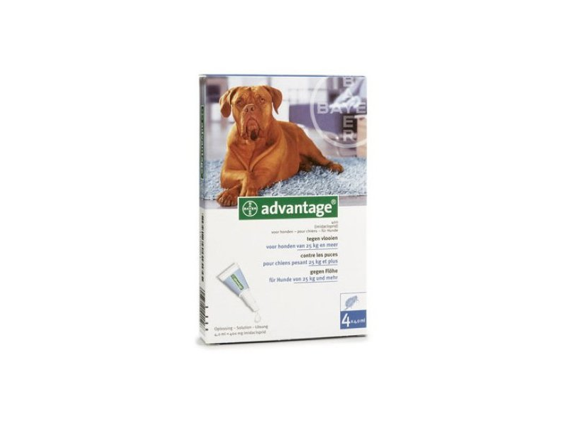 Advantage 400 Hunde Pipetten Preise und Testberichte bei yopi.de