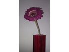 Kunstblume-gerbera
