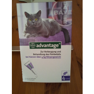 Advantage