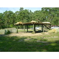 Safari-freizeitpark-schloss-holte-stuckenbrock