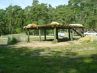 Safari-freizeitpark-schloss-holte-stuckenbrock