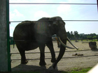 Safari-freizeitpark-schloss-holte-stuckenbrock