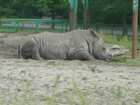 Safari-freizeitpark-schloss-holte-stuckenbrock
