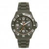 Ice-watch-ice-winter-green-leaf