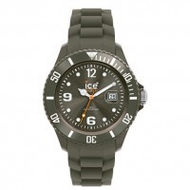 Ice-watch-ice-winter-green-leaf