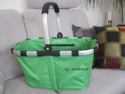 Reisenthel-carrybag-kiwi