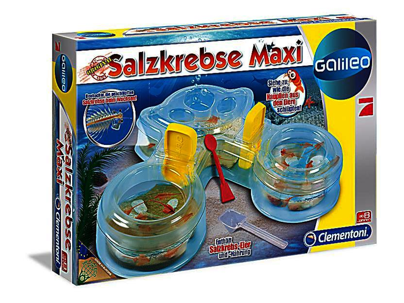 Galileo Salzkrebse Maxi - Preise und Testberichte bei yopi.de
