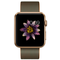 Apple-watch-sport-42-mm