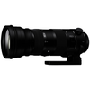 Sigma-150-600-5-0-6-3-dg-os-hsm-sports-fuer-nikon