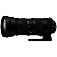 Sigma-150-600-5-0-6-3-dg-os-hsm-sports-fuer-nikon