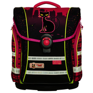 Mcneill-streetcat