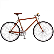 Prophete-singlespeed-bike-1-s