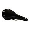 Brooks-cambium-c17