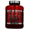 Alex-scitec-nutrition-100-whey-protein-professional-schokolade-haselnuss-2350g