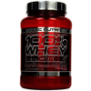 Alex-scitec-nutrition-whey-protein-professional-promgranate-920-g