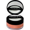 Sisley-teint-phyto-poudre-libre-nr-02-mate