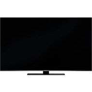 Grundig-49-gus-9790