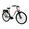 Alu-rex-telefunken-alu-e-bike-city-wave-28-multitalent-c900