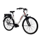 Alu-rex-telefunken-alu-e-bike-city-wave-28-multitalent-c900