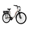 Alu-rex-telefunken-multitalent-c750-citybike-e-bike-28-zoll