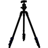 Bilora-haehnel-9994180-triad-40