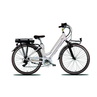 Dahon-montana-fahrraeder-e-bike-e-bluecity-4925-6-gang-shimano-shimano-ty-300-schaltwerk-kettenschaltung-heckmotor