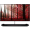 Lg-oled-65-w8-pla-eek-a