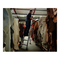 Brennenstuhl-aluminium-stufenstehleiter-einseitig-begehbar-mit-relax-step-und-rollen