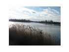 Alte-donau